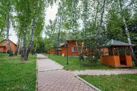 Березовая роща - 9