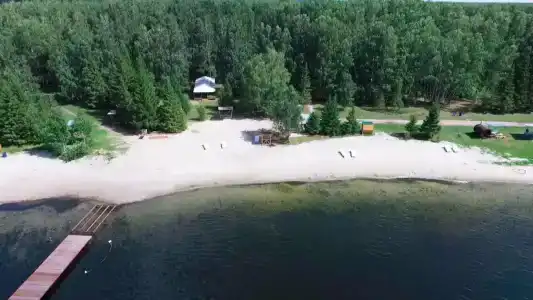 Березка - 53