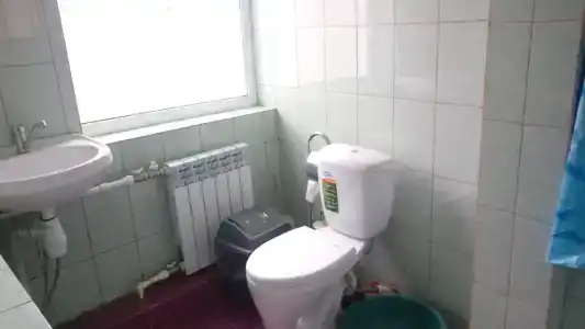 Зеленый бор - 1