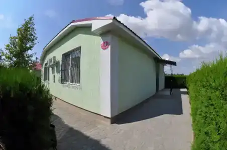 Рябинка - 26