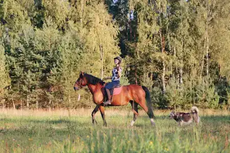 ХвояХутор - Казачий Курень - 13