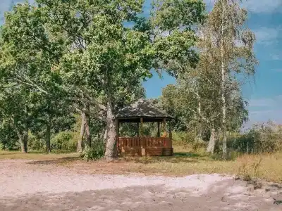 Селигерский плёс - 3