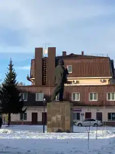 Шишкин - 35