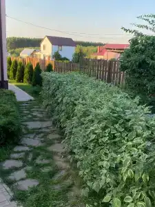 Дивеево-Лайф - 29