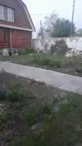 Райский уголок - 17
