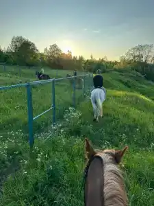 Паллада пастораль - 13