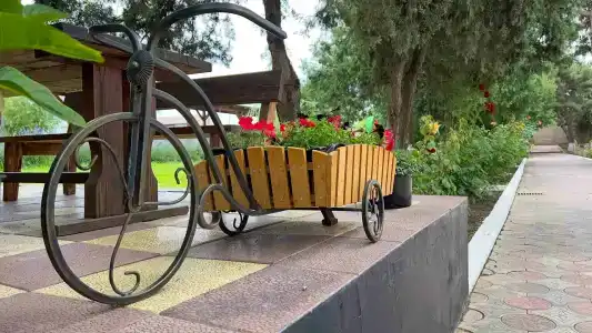 Электра Холидей - 16