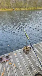 Березинская Дубрава - 74