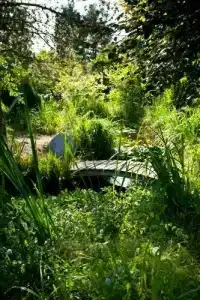 Käferstein garni - 31