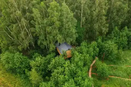 Лапочкино гнездо - 39
