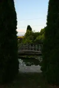 Romantic - 21