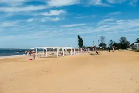 Штурвал - 43