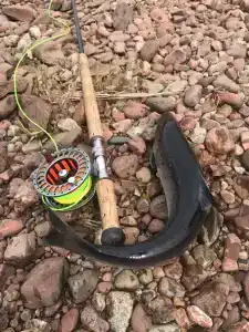 Нериньга - 17