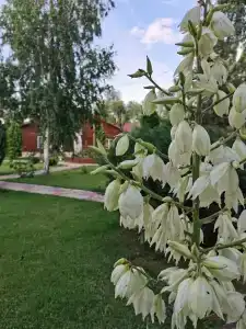 Аквамарин - 22