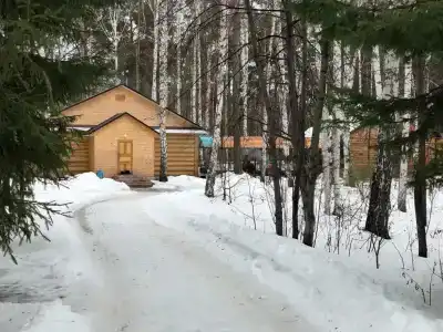 Чайка - 17