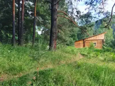 Ологужан - 7