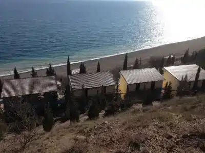Багира - 31