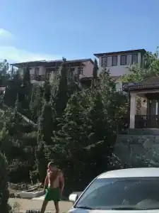 Багира - 38