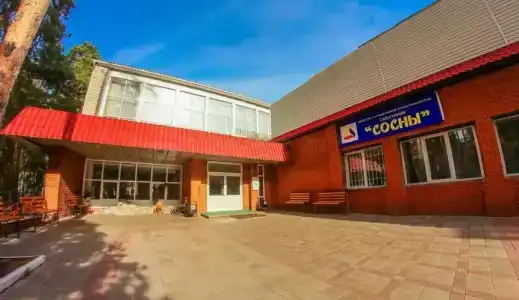 Сосны - 18