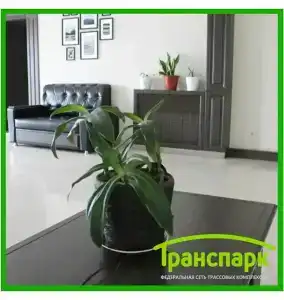 Транспарк - 40