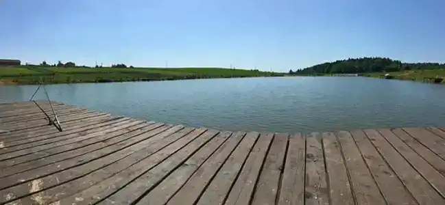ДоброФиш - 12