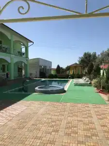 Золотой Фазан - 0