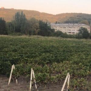 Нептун у реки - 28