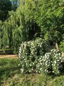 Место Встречи - 5
