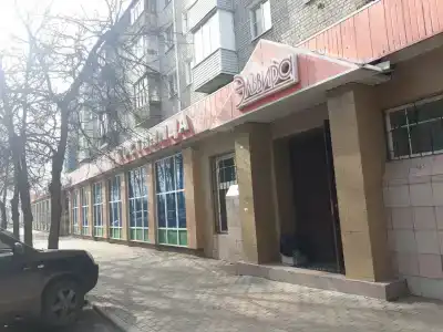 Эльвира - 37