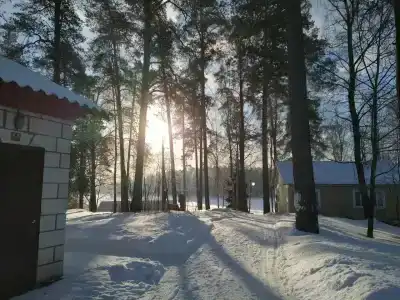 Рубин - 82