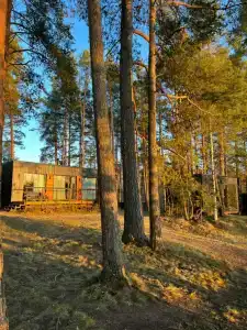 Стеклянный берег - 7