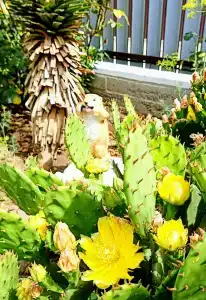 АртДиЖан - 5