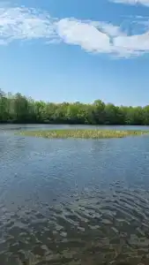 Плавучие дома - 24