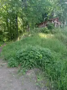 Слюдяночка - 21