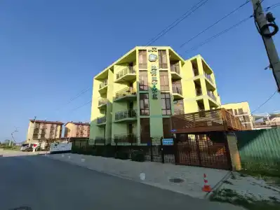 Кактус - 27
