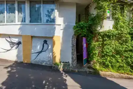 Ласточка - 25