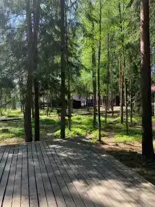 Беседки на Коркинском озере - 25