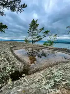 Турголд - 41