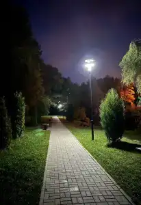 Родник - 1