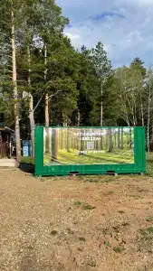 Звезда - 35