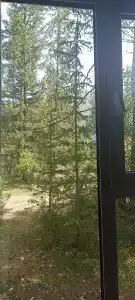 Forest camp - 34