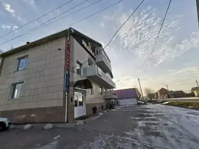 Медведь - 25