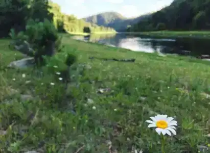 Ологужан - 17