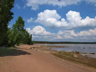 Бухта желтая - 25