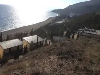 Багира - 65