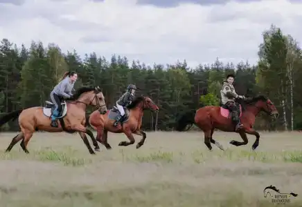 ХвояХутор - Казачий Курень - 2