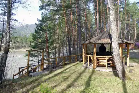 Топлес - 10