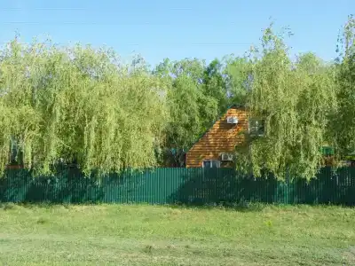 Старая Волга - 38