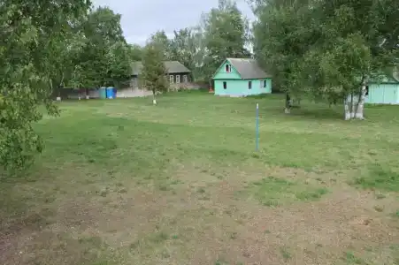 НовГУ - 8