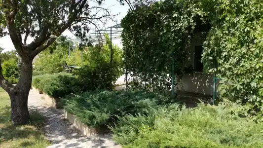 Жемчужина - 72